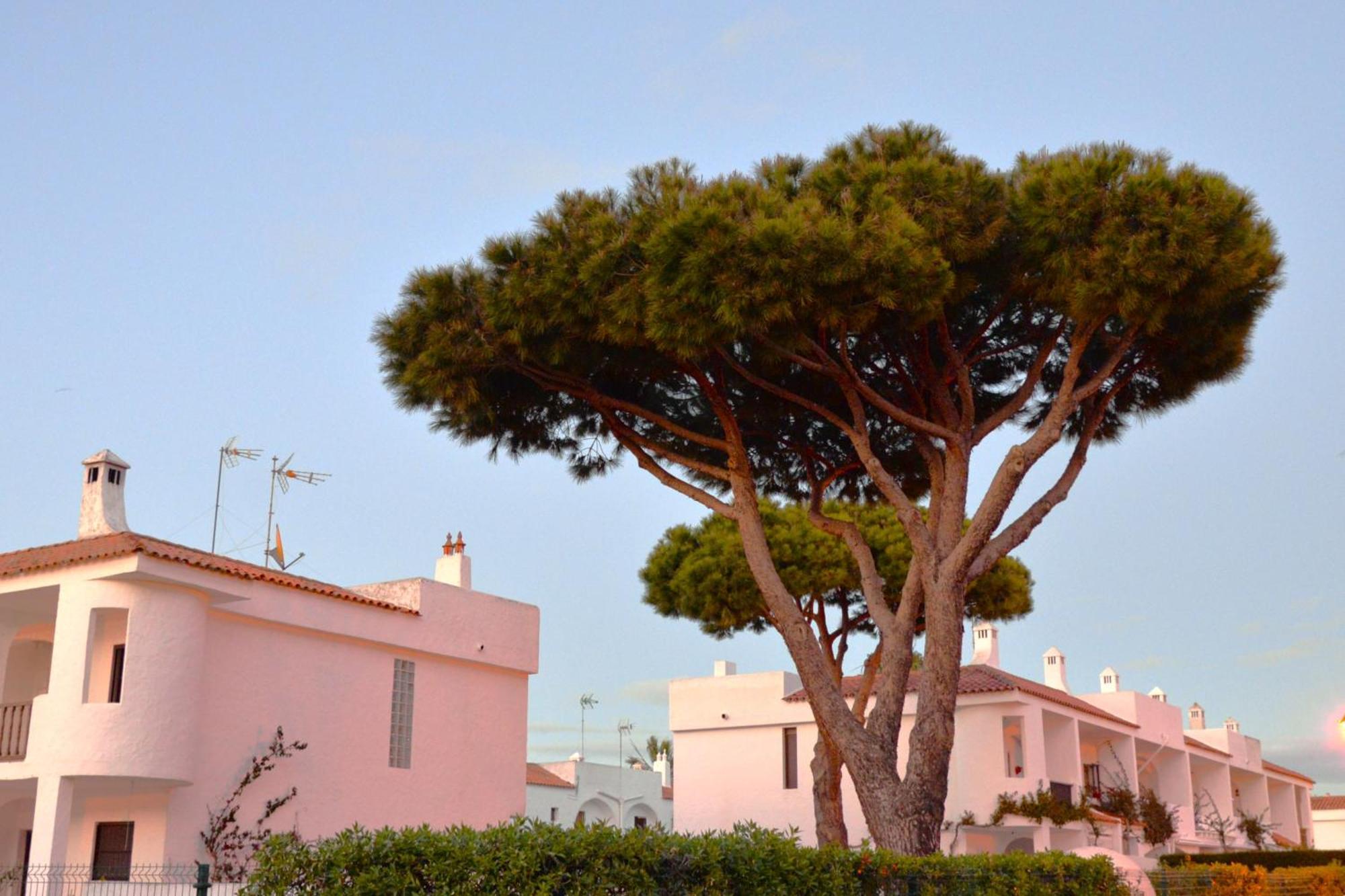 Villa Casa Lea Islantilla Esterno foto