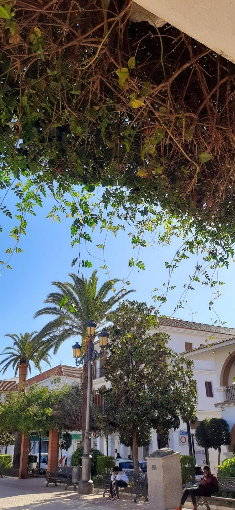 Villa Casa Lea Islantilla Esterno foto